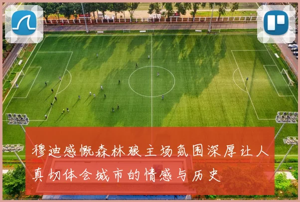 穆迪感慨森林狼主场氛围深厚让人真切体会城市的情感与历史
