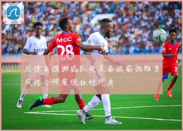 厄德高携挪威队赴美备战前拍维京风格合照展现独特气质